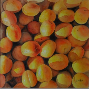 Les abricots (30 x 30 cm)